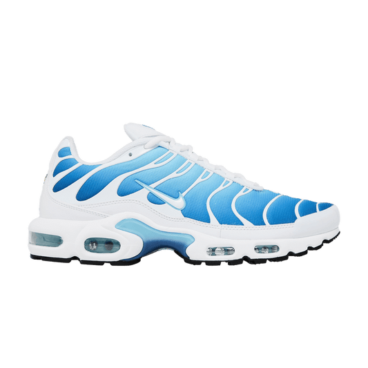 Nike Air Max Plus Sky Blue