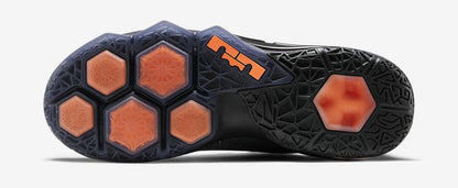 Nike Air Max 95 LeBron 12 Low