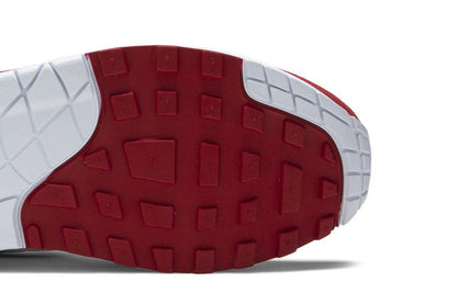 Nike Air Max 1 Puerto Rico (2019)