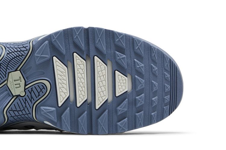 Nike Air Max Plus Drift Ashen Slate (Women's)