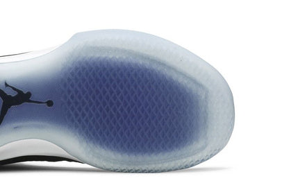 Jordan XXX1 Space Jam