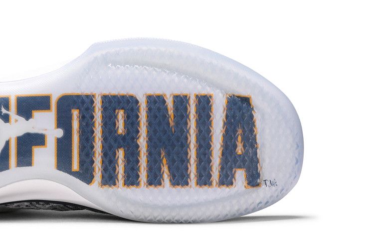 Jordan XXX1 Low California Bears