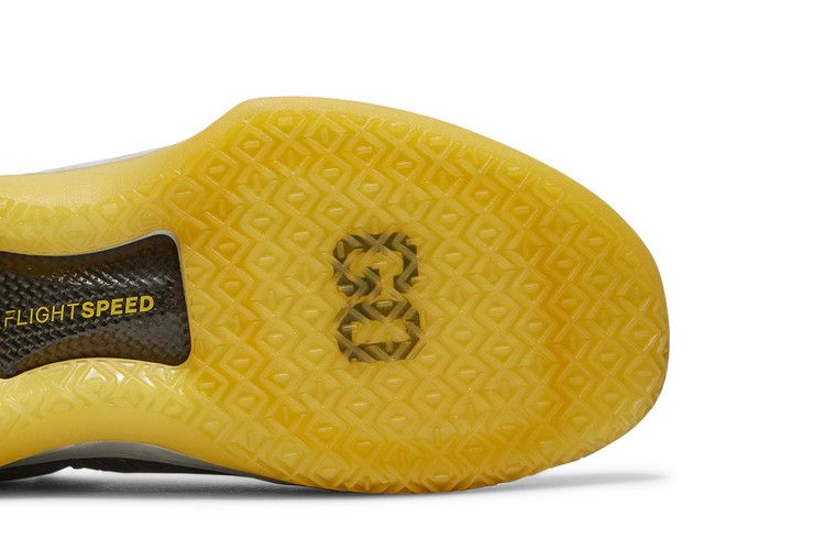 Jordan XXXII Low Michigan