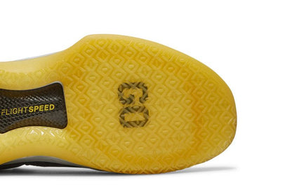 Jordan XXXII Low Michigan