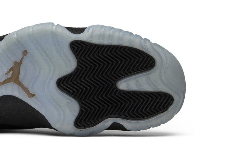 Jordan Future Black Ice