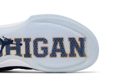Jordan XXX1 Low Michigan