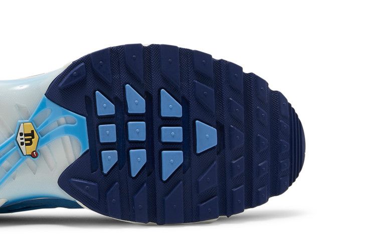 Nike Air Max Plus First Use University Blue