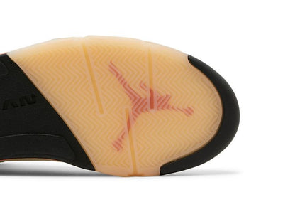 Jordan 5 Retro Shattered Backboard