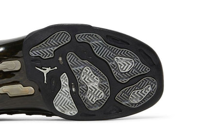 Jordan 17 Retro Black Silver CDP (2008)