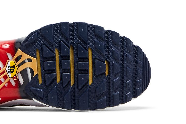 Nike Air Max Plus PSG