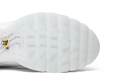 Nike Air Max Plus NIC