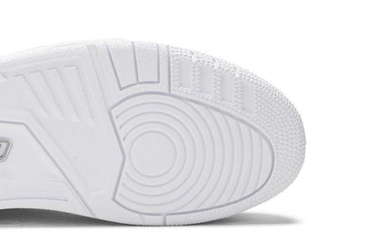 Jordan 3 Retro Silver Anniversary