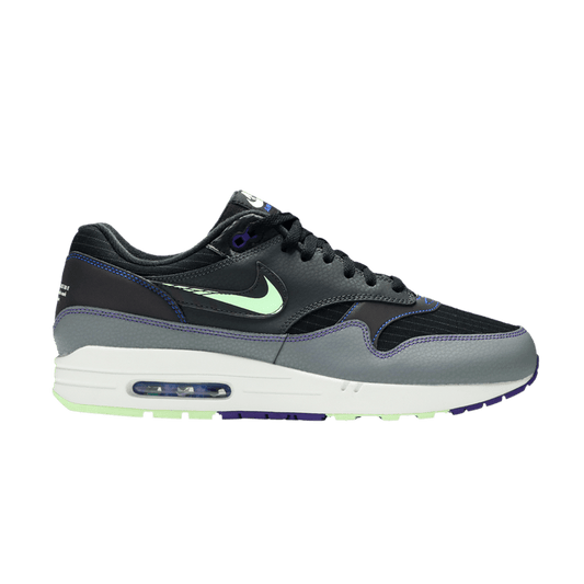 Nike Air Max 1 Future Swoosh Pack