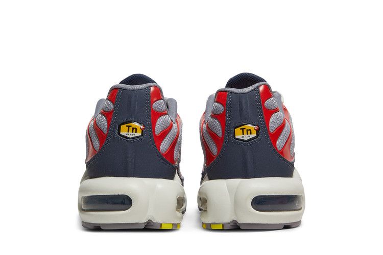 Nike Air Max Plus USA Grey