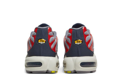 Nike Air Max Plus USA Grey