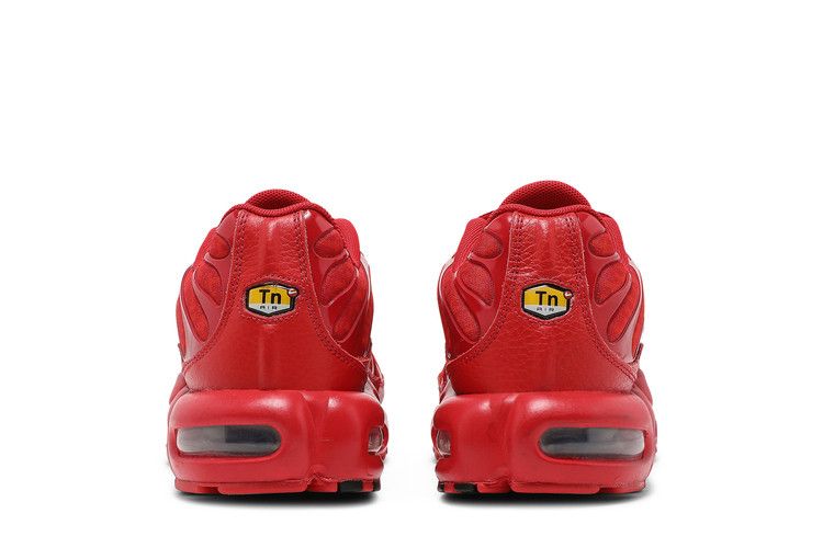 Nike Air Max Plus University Red Chile Red