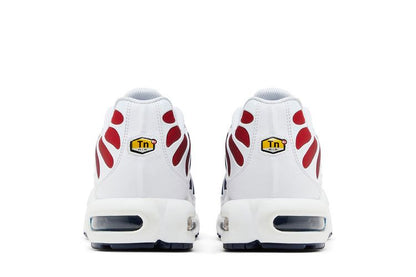 Nike Air Max Plus PSG