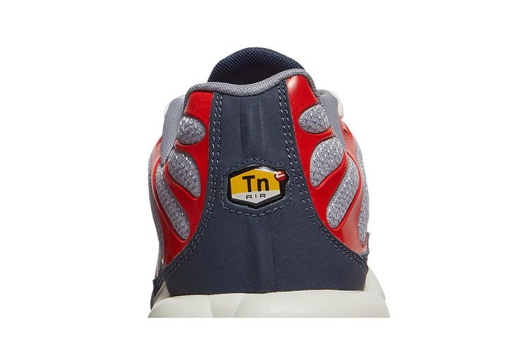 Nike Air Max Plus USA Grey