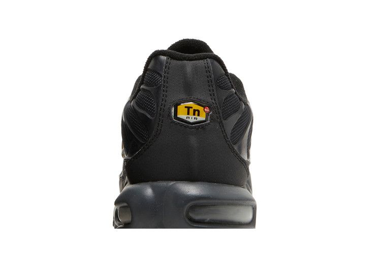 Nike Air Max Plus Black Gold