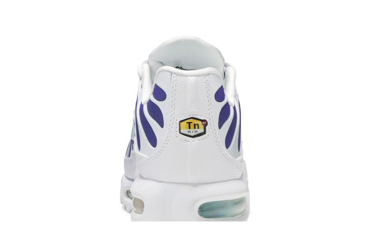 Nike Air Max Plus Bleached Aqua Fierce Purple (Women's)