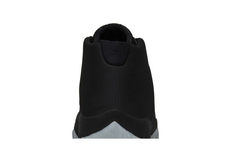 Jordan Future Black Ice