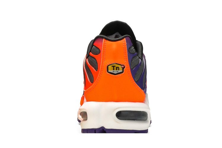 Nike Air Max Plus Color Flip Pack Black