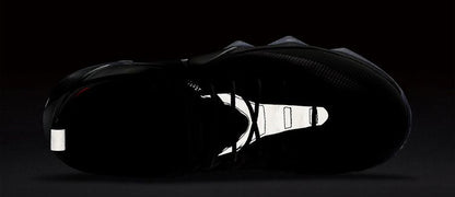 Nike Air Max 95 LeBron 12 Low