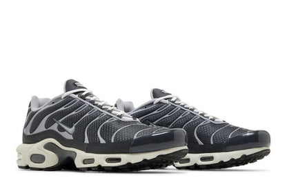 Nike Air Max Plus Greyscale Cool Grey
