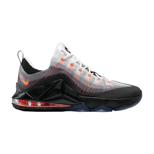 Nike Air Max 95 LeBron 12 Low