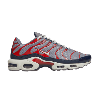 Nike Air Max Plus USA Grey