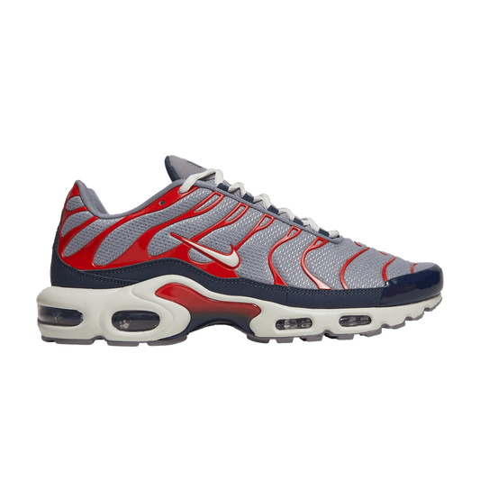 Nike Air Max Plus USA Grey