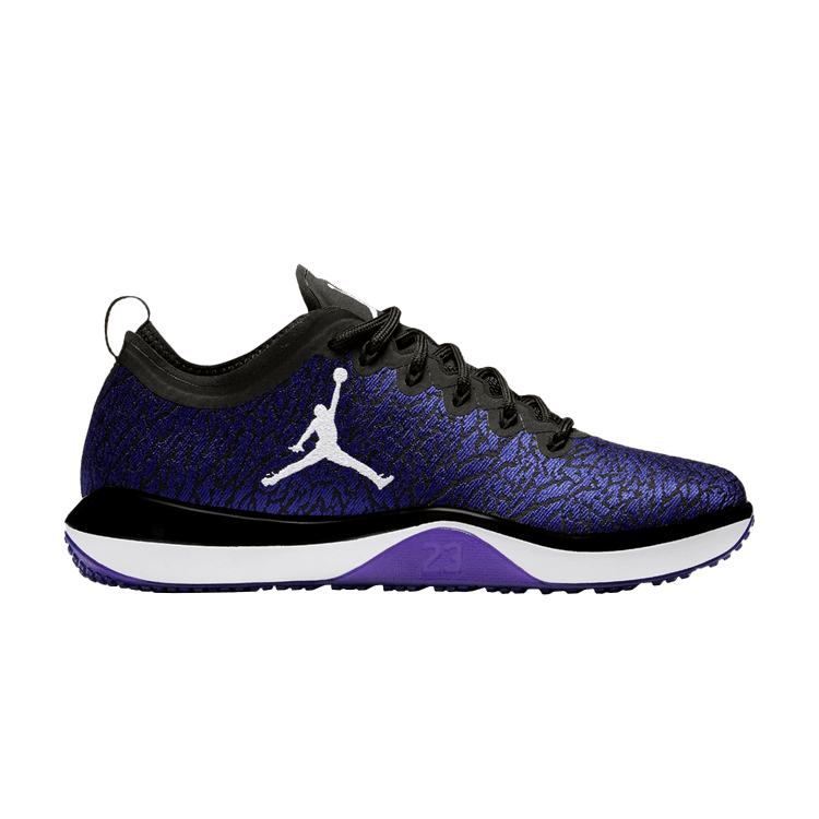 Jordan Trainer 1 Low Concord