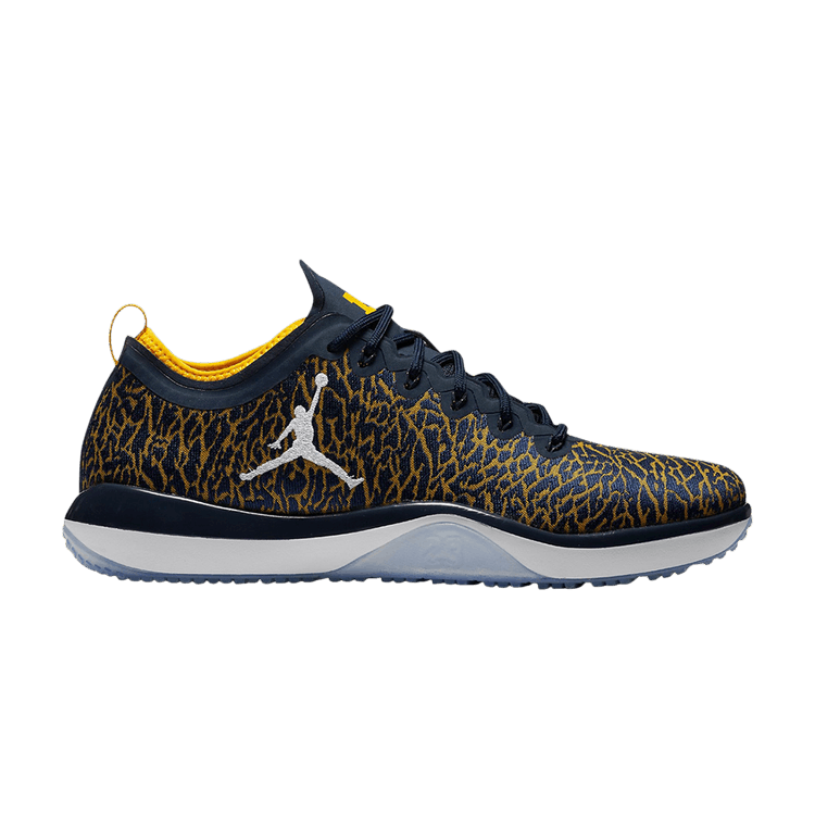 Jordan Trainer 1 Low Michigan