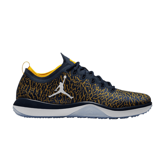 Jordan Trainer 1 Low Michigan