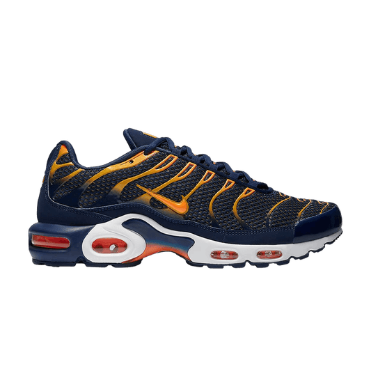 Nike Air Max Plus Blue Void University Gold