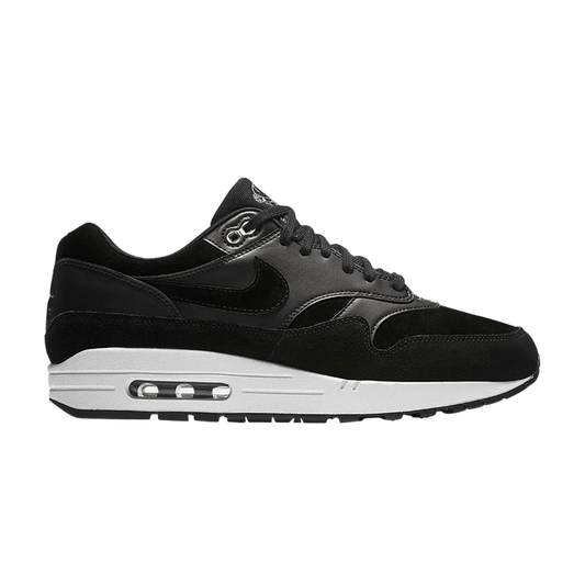 Nike Air Max 1 Rebel Skulls