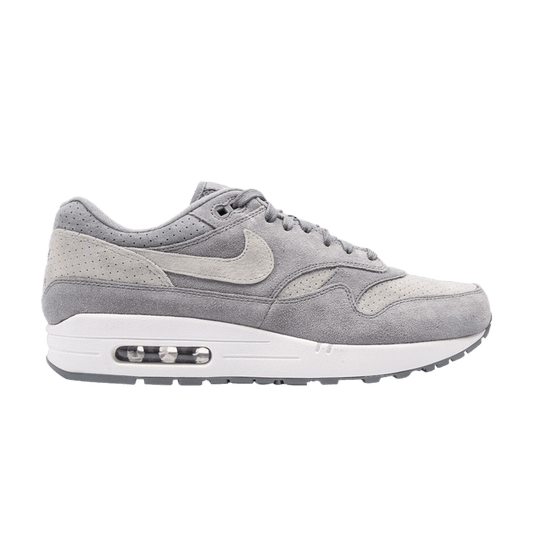 Nike Air Max 1 Cool Grey Wolf Grey