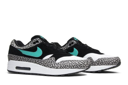 Jordan 3 Retro & Nike Air Max 1 atmos Pack