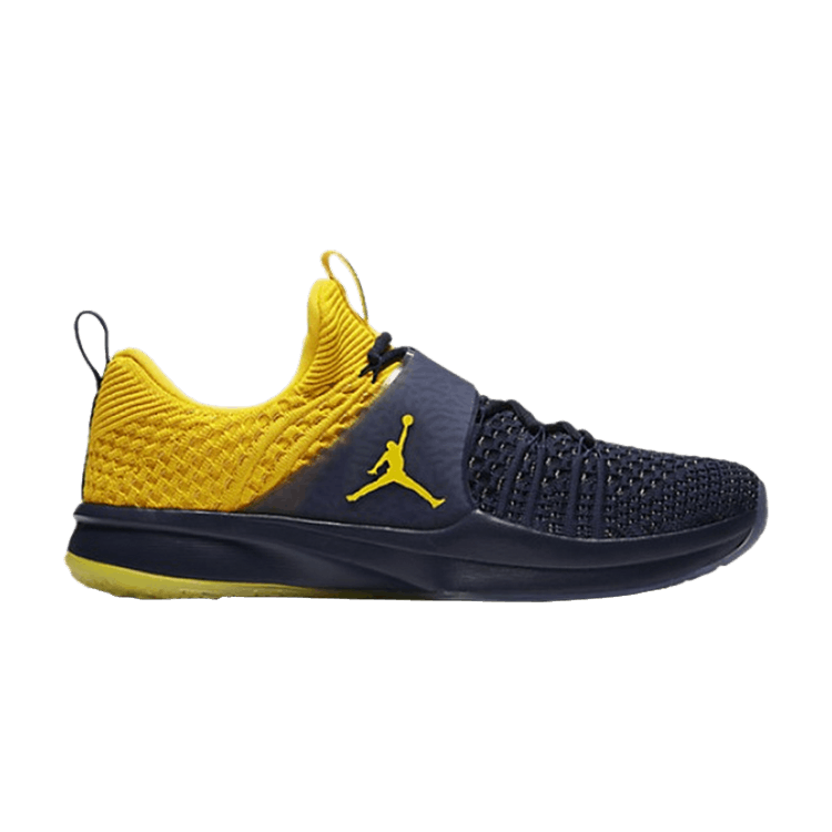 Jordan Trainer 2 Flyknit Michigan