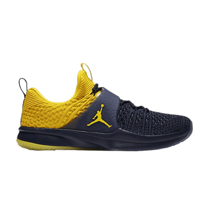 Jordan Trainer 2 Flyknit Michigan