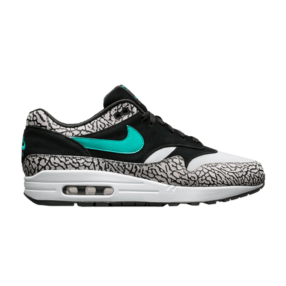 Nike Air Max 1 atmos x Jordan