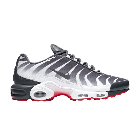 Nike Air Max Plus Before the Bite