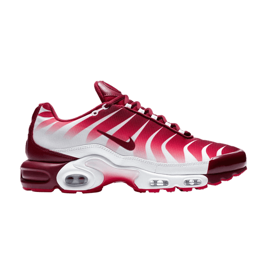 Nike Air Max Plus After the Bite