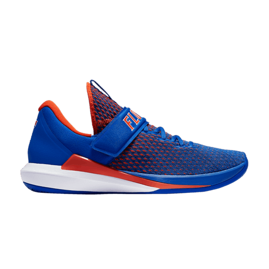 Jordan Trainer 3 Florida Gators