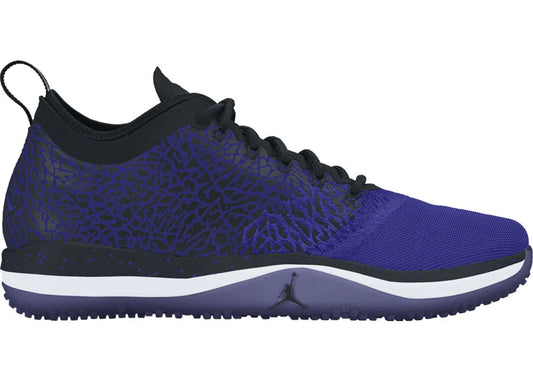 Jordan Trainer 1 Low Concord