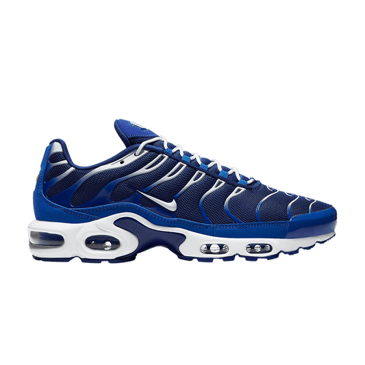 Nike Air Max Plus Arctic Chill