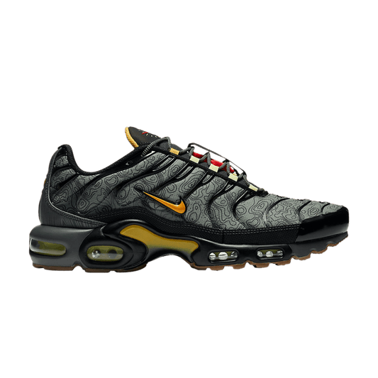 Nike Air Max Plus Fresh Perspective