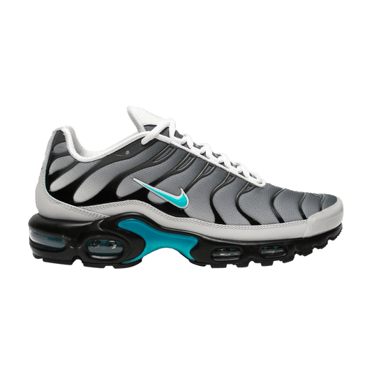 Nike Air Max Plus One Block Down Matte Silver