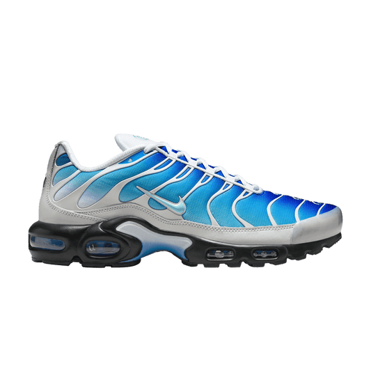 Nike Air Max Plus One Block Down Light Photo Blue